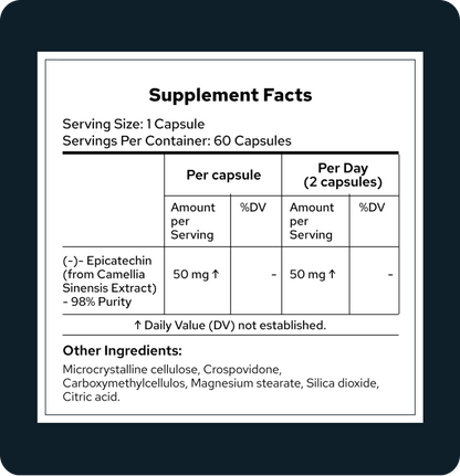 Clinically Studied Epicatechin for Mitochondrial Support